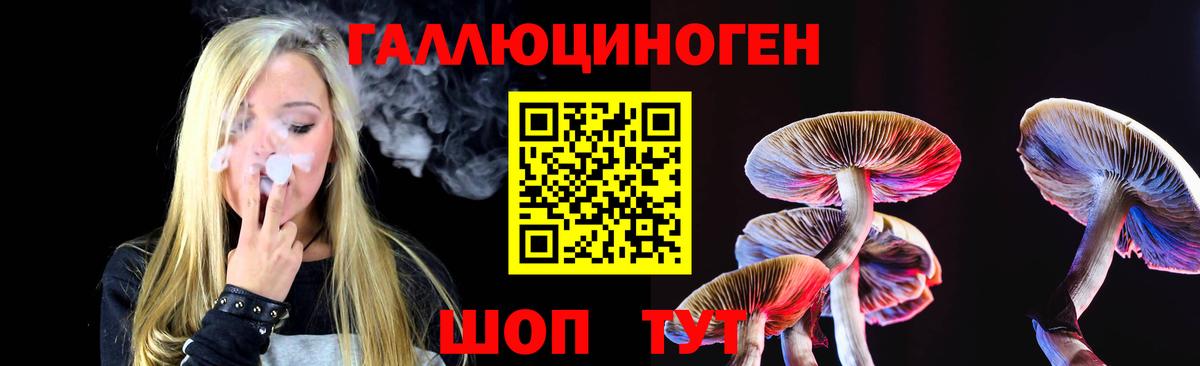 Псилоцибиновые грибы Cubensis Калач-на-Дону